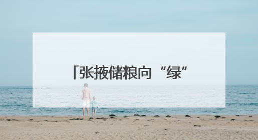 张掖储粮向“绿”疾驰 全省首个“光伏粮仓”高效运行
