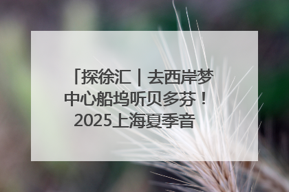 探徐汇｜去西岸梦中心船坞听贝多芬！2025上海夏季音乐节公布节目阵容