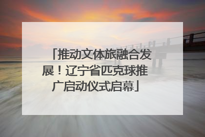 推动文体旅融合发展！辽宁省匹克球推广启动仪式启幕