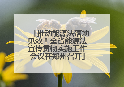 推动能源法落地见效！全省能源法宣传贯彻实施工作会议在郑州召开