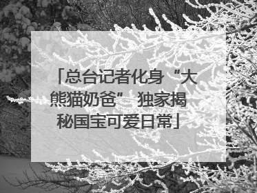 总台记者化身“大熊猫奶爸” 独家揭秘国宝可爱日常