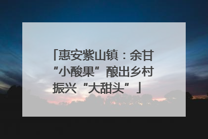 惠安紫山镇：余甘“小酸果”酿出乡村振兴“大甜头”
