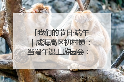 我们的节日·端午｜威海高区初村镇：当端午遇上游园会：来一场“粽”享欢乐的趣味冒险！