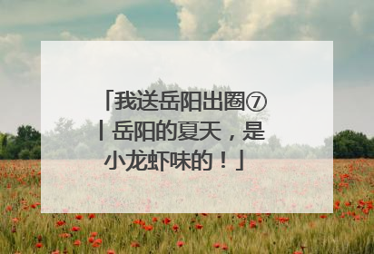 我送岳阳出圈⑦丨岳阳的夏天，是小龙虾味的！