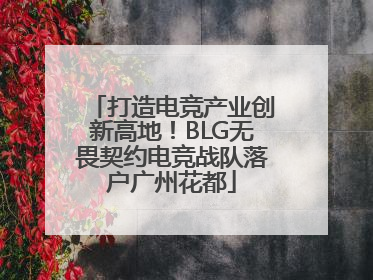 打造电竞产业创新高地！BLG无畏契约电竞战队落户广州花都