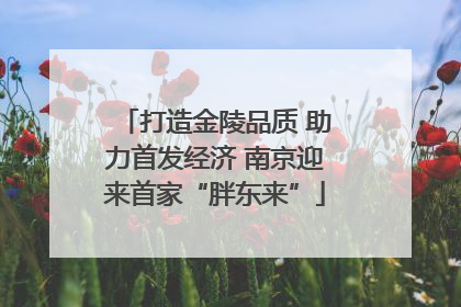 打造金陵品质 助力首发经济 南京迎来首家“胖东来”
