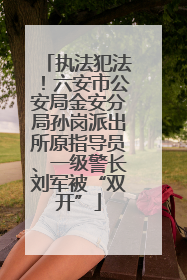 执法犯法！六安市公安局金安分局孙岗派出所原指导员、一级警长刘军被“双开”