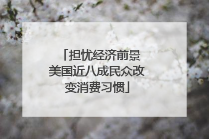 担忧经济前景 美国近八成民众改变消费习惯