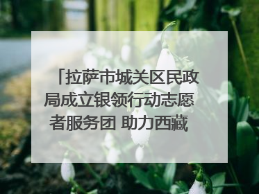 拉萨市城关区民政局成立银领行动志愿者服务团 助力西藏银发经济发展