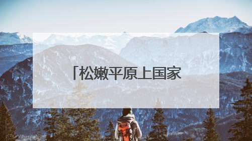 松嫩平原上国家粮食与能源安全的三峡融合示范