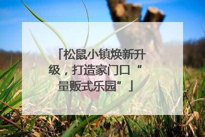 松鼠小镇焕新升级，打造家门口“量贩式乐园”