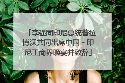 李强同印尼总统普拉博沃共同出席中国－印尼工商界晚宴并致辞