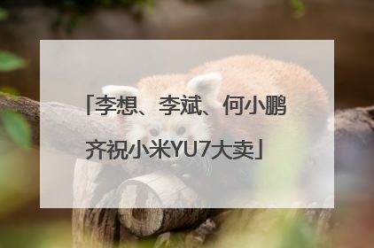 李想、李斌、何小鹏齐祝小米YU7大卖