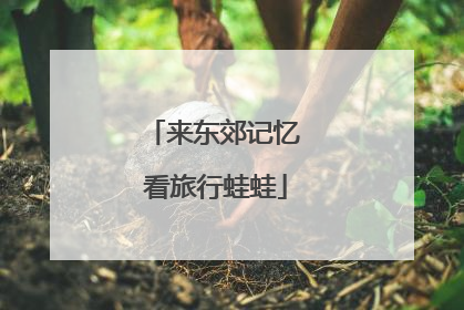 来东郊记忆 看旅行蛙蛙