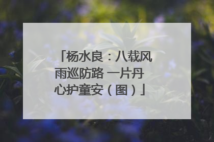 杨水良：八载风雨巡防路 一片丹心护童安（图）