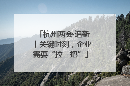 杭州两会·追新丨关键时刻，企业需要“拉一把”