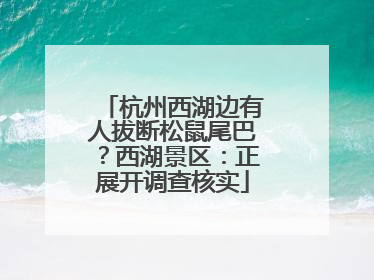 杭州西湖边有人拔断松鼠尾巴？西湖景区：正展开调查核实