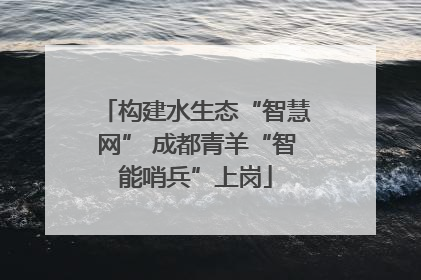 构建水生态“智慧网” 成都青羊“智能哨兵”上岗