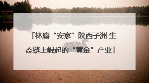 林麝“安家”陕西子洲 生态链上崛起的“黄金”产业