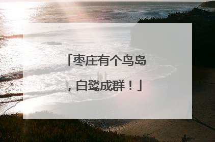 枣庄有个鸟岛，白鹭成群！
