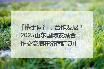携手同行，合作发展！2025山东国际友城合作交流周在济南启动