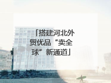 搭建河北外贸优品“卖全球”新通道