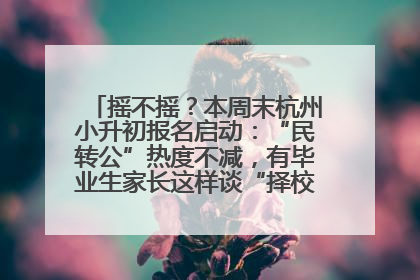 摇不摇？本周末杭州小升初报名启动：“民转公”热度不减，有毕业生家长这样谈“择校真相”……