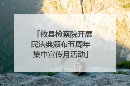 攸县检察院开展民法典颁布五周年集中宣传月活动