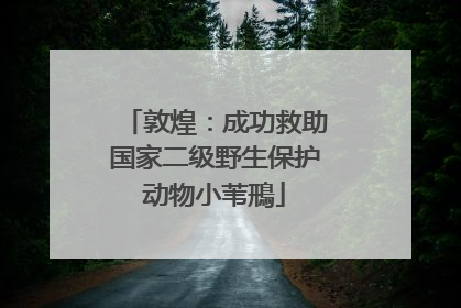 敦煌：成功救助国家二级野生保护动物小苇鳽