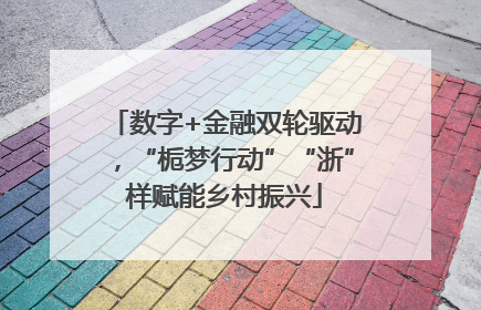 数字+金融双轮驱动，“栀梦行动”“浙”样赋能乡村振兴