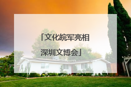 文化皖军亮相深圳文博会