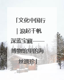 文化中国行｜浪起千帆 深蓝宝藏——博物馆里的海丝遗珍