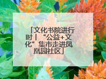 文化书院进行时丨“公益+文化”集市走进凤凰园社区