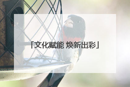 文化赋能 焕新出彩