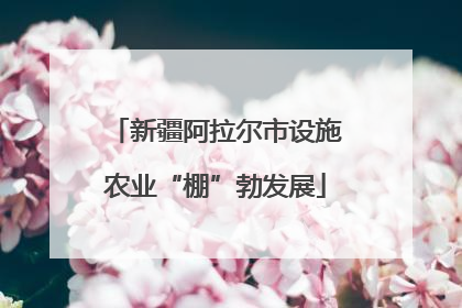 新疆阿拉尔市设施农业“棚”勃发展
