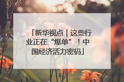 新华视点｜这些行业正在“爆单”！中国经济活力密码