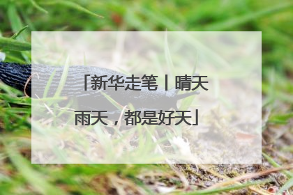 新华走笔丨晴天雨天，都是好天