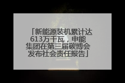 新能源装机累计达613万千瓦，申能集团在第三届碳博会发布社会责任报告