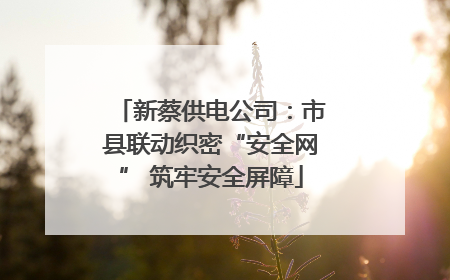 新蔡供电公司：市县联动织密“安全网” 筑牢安全屏障