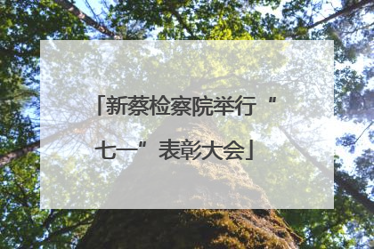 新蔡检察院举行“七一”表彰大会