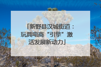 新野县汉城街道：玩具电商“引擎”激活发展新动力