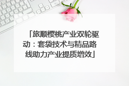 旅顺樱桃产业双轮驱动：套袋技术与精品路线助力产业提质增效