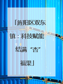 旌阳区双东镇：科技赋能 结满“杏”福果