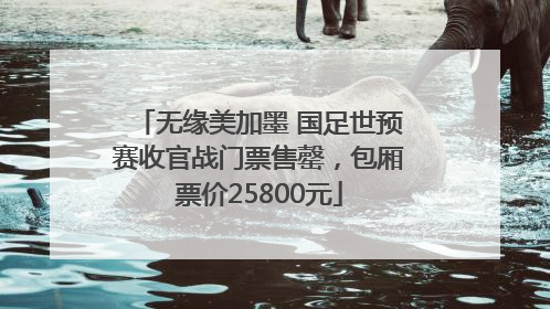 无缘美加墨 国足世预赛收官战门票售罄，包厢票价25800元
