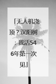 无人机浇顶？汉阳树：我活546年第一次见