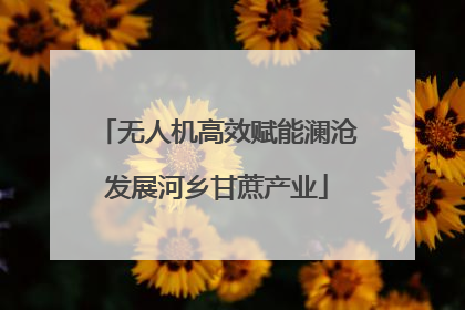 无人机高效赋能澜沧发展河乡甘蔗产业