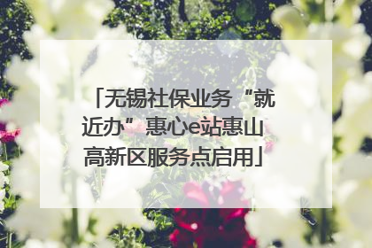 无锡社保业务“就近办”惠心e站惠山高新区服务点启用