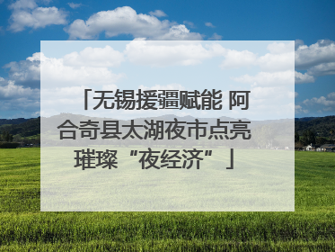 无锡援疆赋能 阿合奇县太湖夜市点亮璀璨“夜经济”