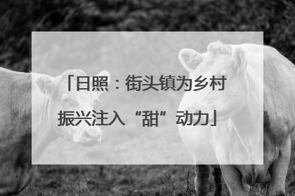 日照：街头镇为乡村振兴注入“甜”动力