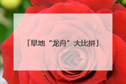 旱地“龙舟”大比拼